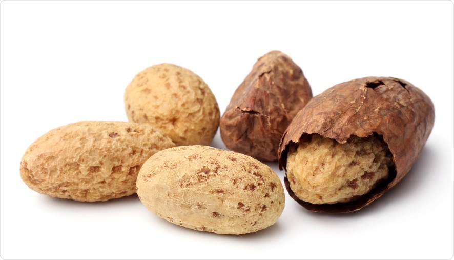 Study: Garcinia kola and garcinoic acid suppress SARS-CoV-2 spike glycoprotein S1-induced hyper-inflammation in human PBMCs through inhibition of NF-κB activation. Image Credit: Olga Popova / Shutterstock