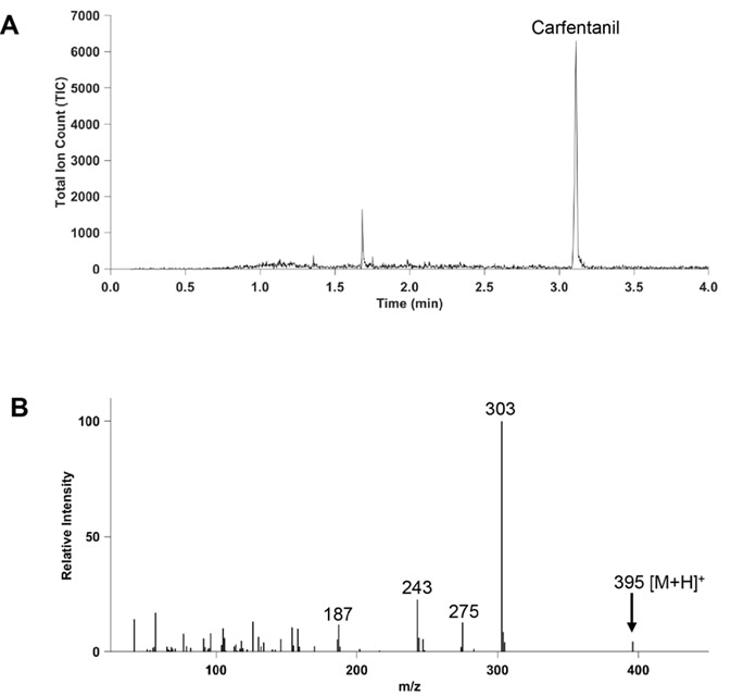CME-GC/MS analysis of 100 mg/mL solution of carfentanil in methanol. (A) TIC of carfentanil. (B) Positive ion mass spectrum of carfentanil, showing the pseudomolecular ion at m/z 395.