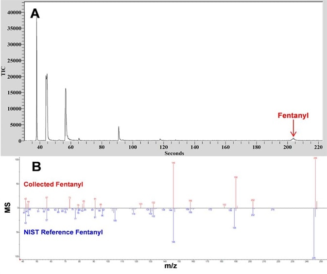 CME-GC/MS analysis of glassware used to synthesize fentanyl diluted in acetonitrile. (A) TIC of fentanyl and additional products from the fentanyl synthesis. (B) MS comparison between fentanyl collected with Torion T-9 (Blue) and NIST reference spectra (Red).