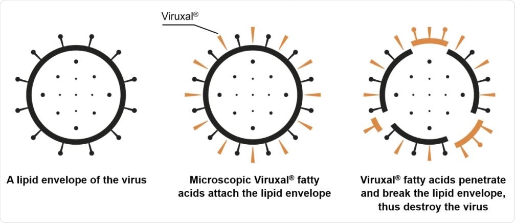 A proposed antiviral mechanism of fatty acids in Viruxal against enveloped viruses.