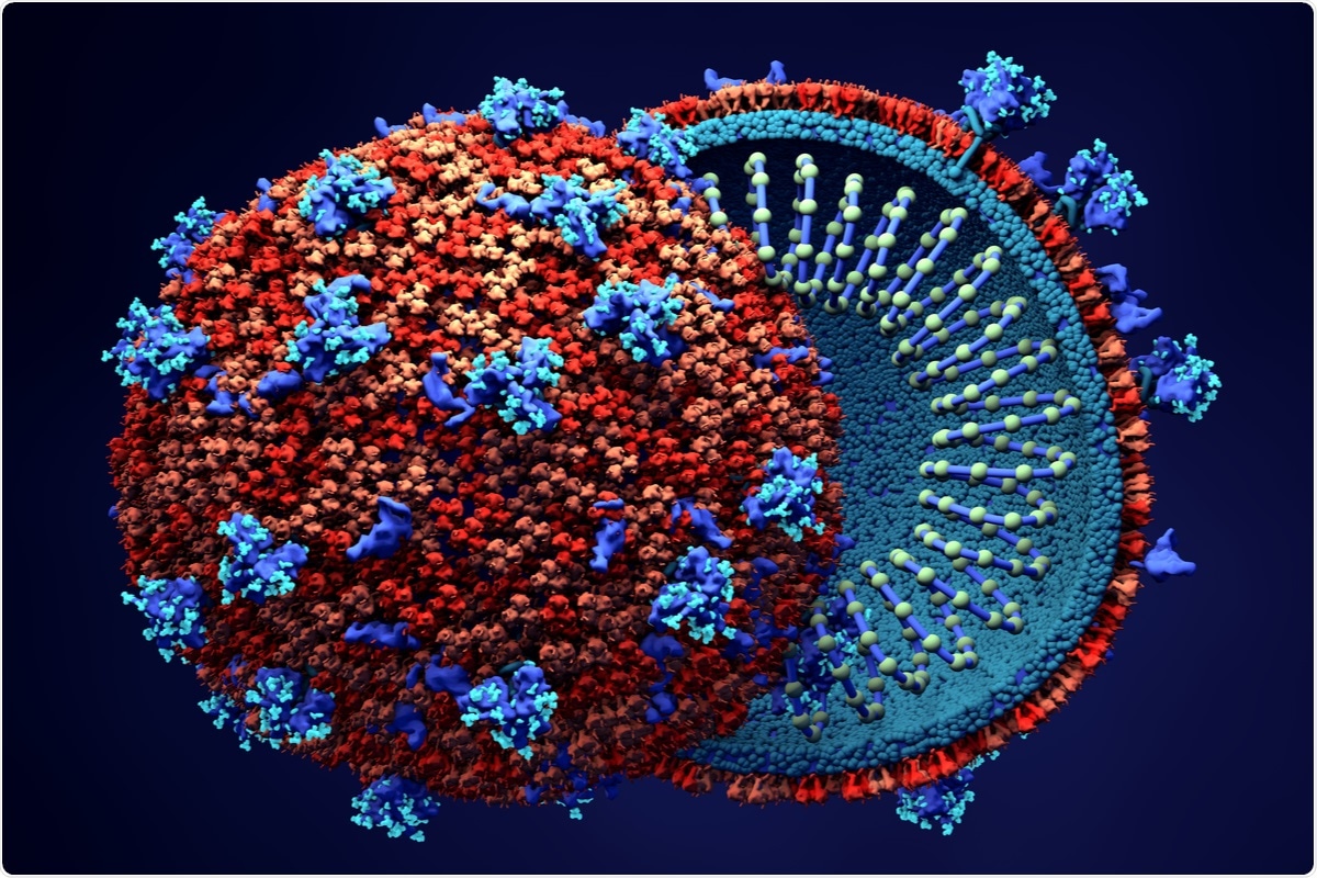 Study: SARS-CoV-2 cell-to-cell spread occurs rapidly and is insensitive to antibody neutralization. Image Credit: Design_Cells / Shutterstock