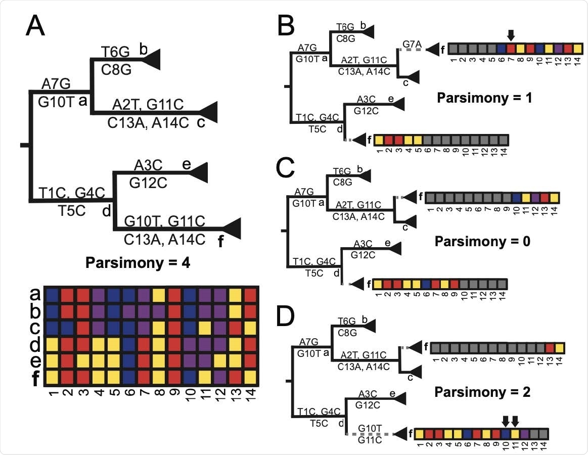 RIPPLES exhaustively searches for optimal parsimony improvements using partial interval placements. (A): A phylogeny with 6 internal nodes (labeled a-f), in which node f is the one being currently investigated as a putative recombinant. The initial parsimony score of node f is 4, according to the multiple sequence alignment below the phylogeny, which displays the variation among samples and internal nodes. Note that internal nodes may not have corresponding sequences in reality, but test for recombination using reconstructed ancestral genomes. (B-D): Three partial placements given breakpoints are shown with their resulting parsimony scores. Arrows mark sites that increase the sum parsimony of the two partial placements of f. The optimal partial placement and breakpoint prediction for node f is in the center (C), with one breakpoint after site 9 and with partial placements both as a sibling of node c and as a descendant of node d.