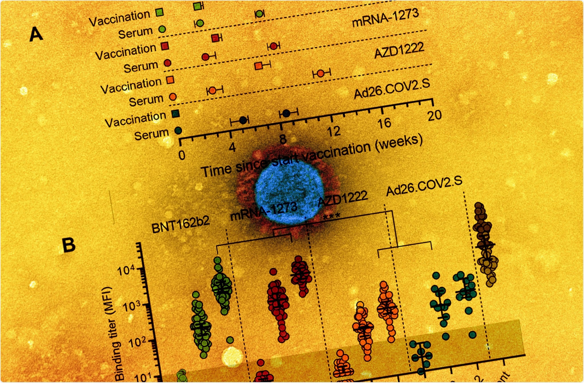 Study: Four SARS-CoV-2 vaccines induce quantitatively different antibody responses against SARS-CoV-2 variants. Image Credit: NIAID