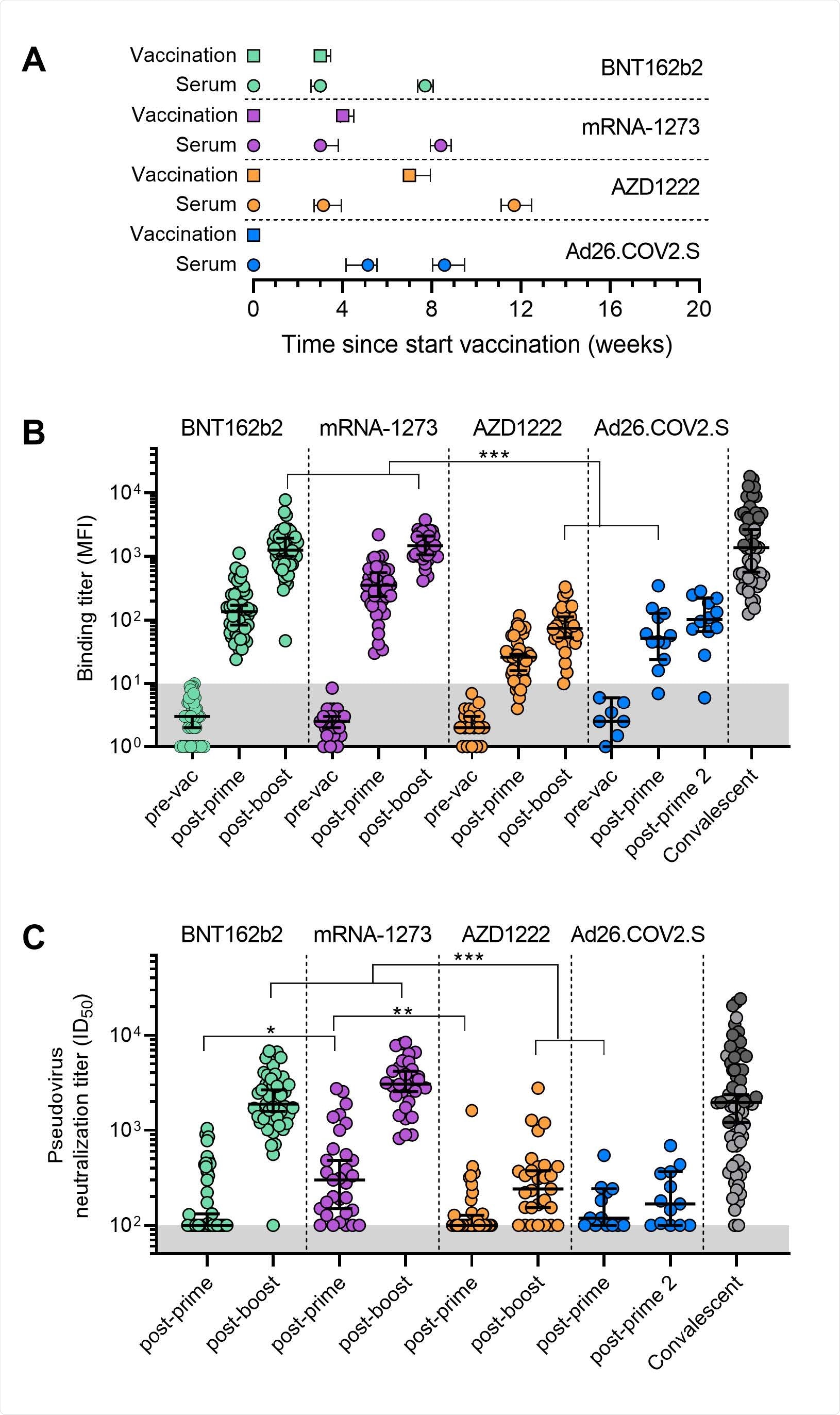 Binding and neutralization titers pre- and post-vaccination with one of the four SARS-CoV-2 vaccines. (A) Timelines of the vaccinations and serum collections, showing the mean and interquartile range of times of vaccination and samples in weeks after the first dose. (B) Binding titers to wild-type S protein represented as mean fluorescence intensity (MFI) of 1:100,000 diluted sera collected pre- and post-vaccination for the four vaccination groups. The convalescent group (n=68) consists of sera from hospitalized (dark gray) and non-hospitalized (light gray) COVID-19 patients collected 4-6 weeks post symptom onset. Median and 95% confidence intervals are indicated. The lower cutoff for binding was set at an MFI of 10 (grey shading). (C) Median half-maximal neutralization (ID50) titers of D614G pseudovirus for sera collected post-vaccination for the four vaccination groups. The convalescent group (n=68) consists of sera from hospitalized (dark gray) and non-hospitalized (light gray) COVID-19 patients collected 4-6 weeks post symptom onset. Median and 95% confidence intervals are indicated. The lower cutoff for neutralization was set at an ID50 of 100 (grey shading). All data points shown here represent the mean of a technical triplicate. *, p < 0.01, **, p < 0.001, ***, p < 0.0001.
