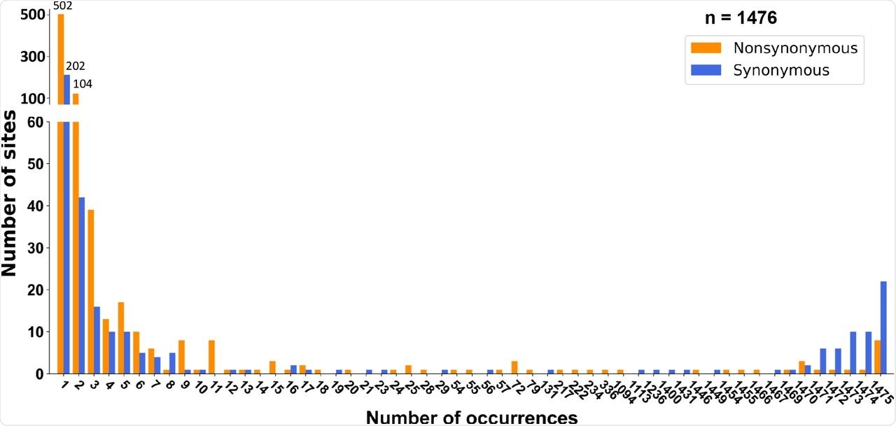 Site frequency spectra of SARS-CoV-2 during the early epidemic (2019/12-2020/2) in humans. (a) Site frequency spectra (SFSs) inferred using RaTG13 as the outgroup. Significant deviation from neutral expectation under exponential population growth was found in both synonymous (p < 10-5) and nonsynonymous mutations (p < 10-5). (b) SFSs cross-referenced by the phylogeny and date of sampling (see main text for details). Neither synonymous nor nonsynonymous mutations deviate from the neutral expectation.