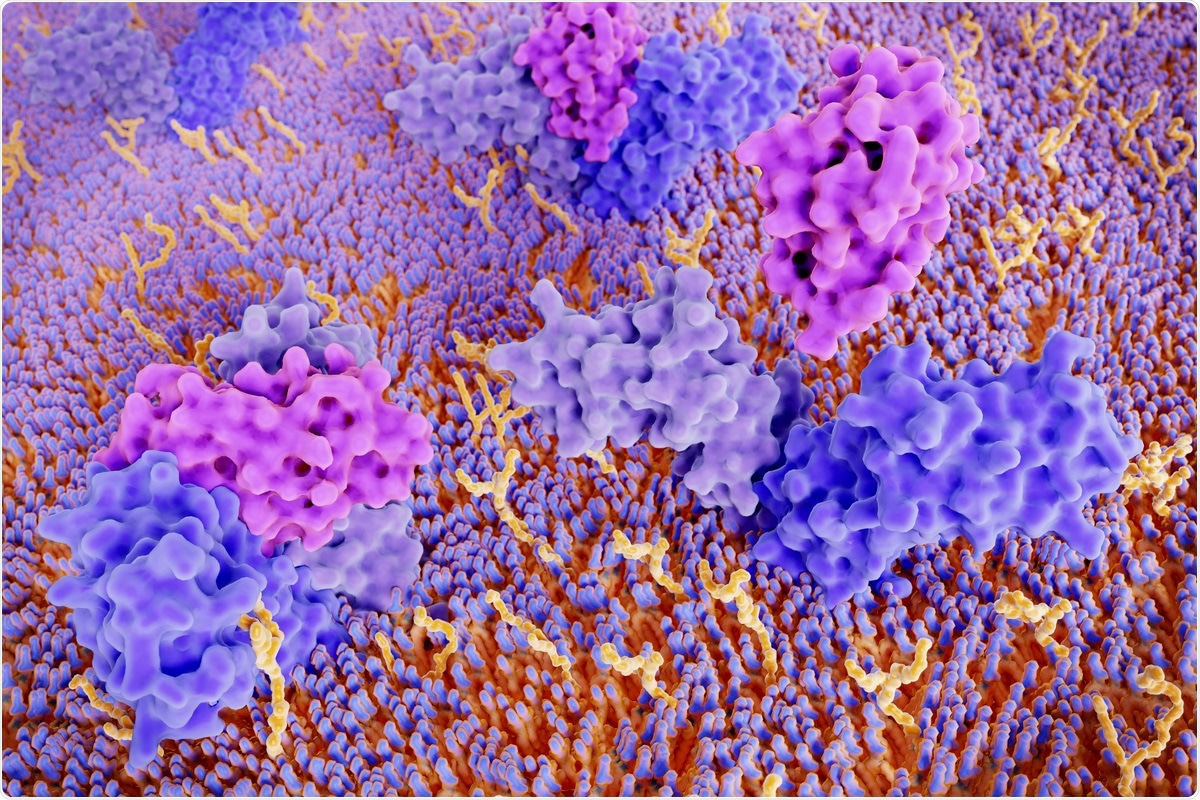 Study: Interleukin-1 blocking agents for treating COVID-19. Image Credit: Juan Gaertner / Shutterstock.com