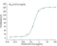 A cell proliferation assay using Balb/C 3T3 mouse embryonic fibroblasts.