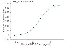 Ability to induce alkaline phosphatase production by MC3T3-E1 mouse osteoblastic cells.