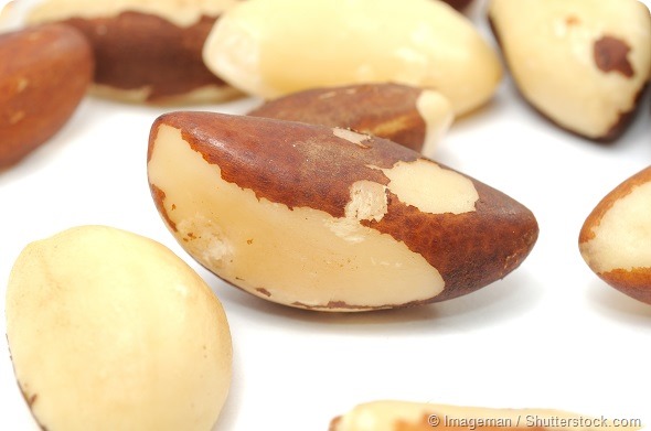 Brazil Nuts