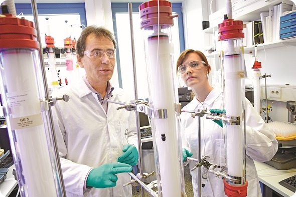 Antibodies are purified from other proteins using column chromatography.