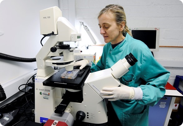 Scientist Immunocore lab high res