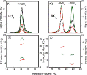 RCS and RCL polypeptide hydrodynamic properties, analyzed using the SEC-TDA method. RCS (A) and RCL (C) polypeptides, without (dashed line) or with (solid line) 5mm CaCl2. The green traces relate to the right angle light scattering; the black traces to the differential refractometer, and red traces to the differential viscometer. RCS (B) and RCL (D) show the intrinsic viscosity (red lines) and molecular mass (green lines) in the presence of (solid lines), or without (dashed lines) calcium.