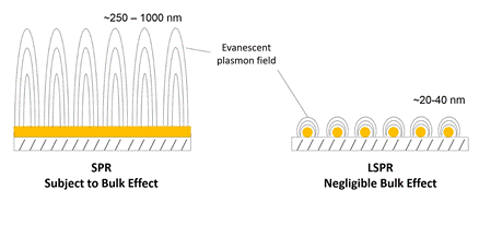 The smaller decay length of SPR versus LSPR