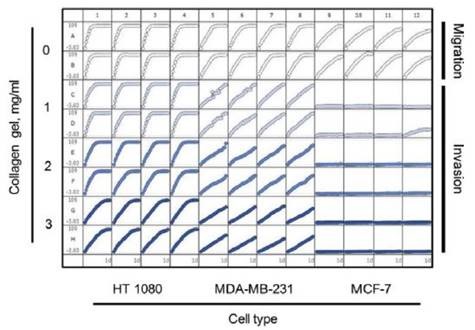 96-well microplate graph of three cell types in the cell migration and Invasion Assay