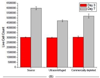 Effect of FBS source on cell viability on two cell lines. Jurkat (A) and HCT 116 (B) cells were grown for seven days and passaged at days 3 and 7. Cell count and viability was measured for all 3 FBS sources on these days.
