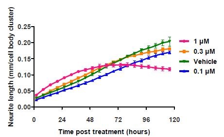 Application of cytochalasin D