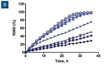 Effect of blebbistatin on the migration and invasion of HT-1080 cells