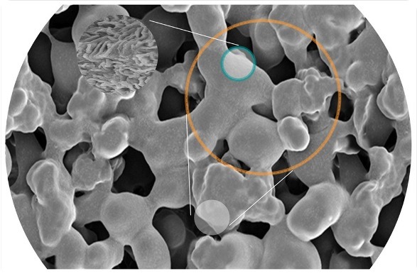 High-Throughput ChIP