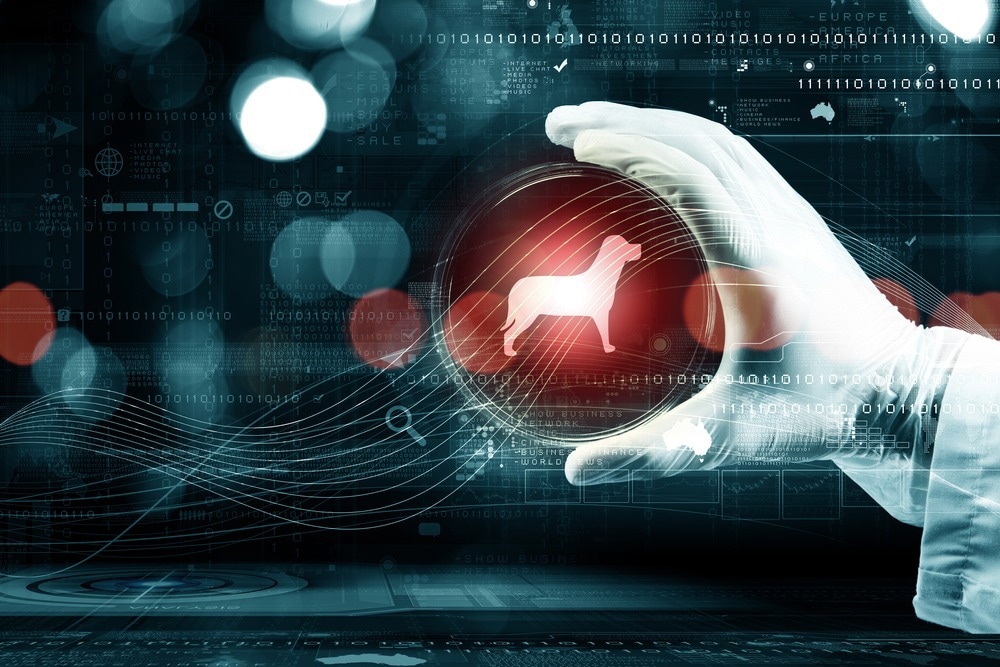 Image Credit: Sergey Nivens/Shutterstock.com