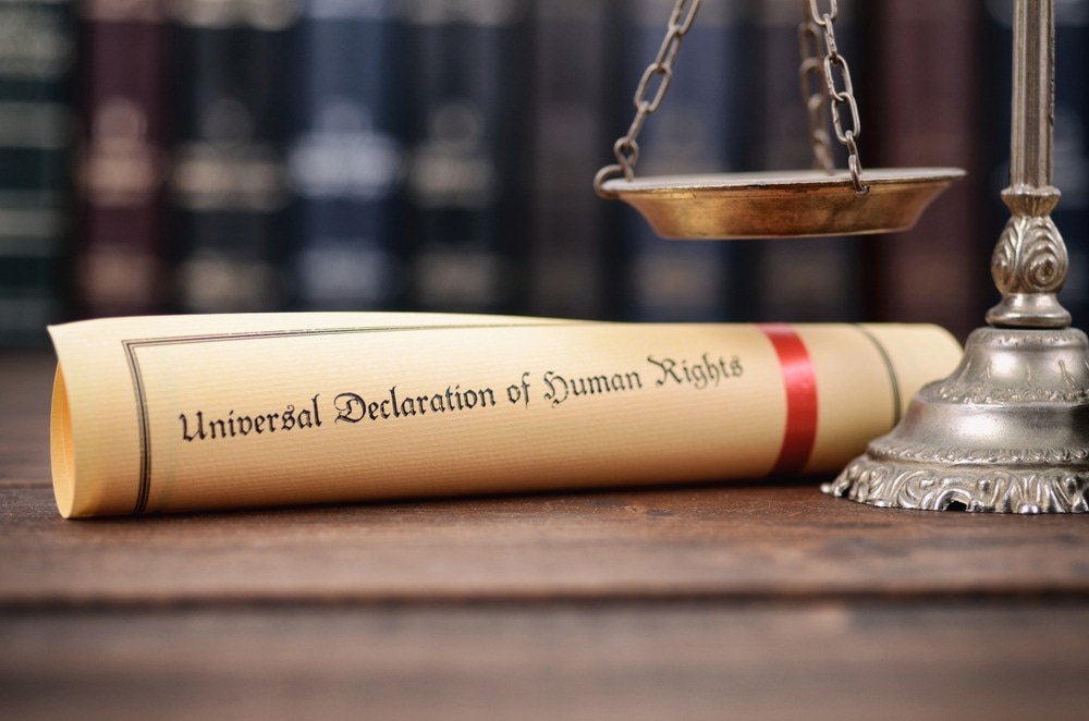 Image Credit: corgarashu/Shutterstock.com