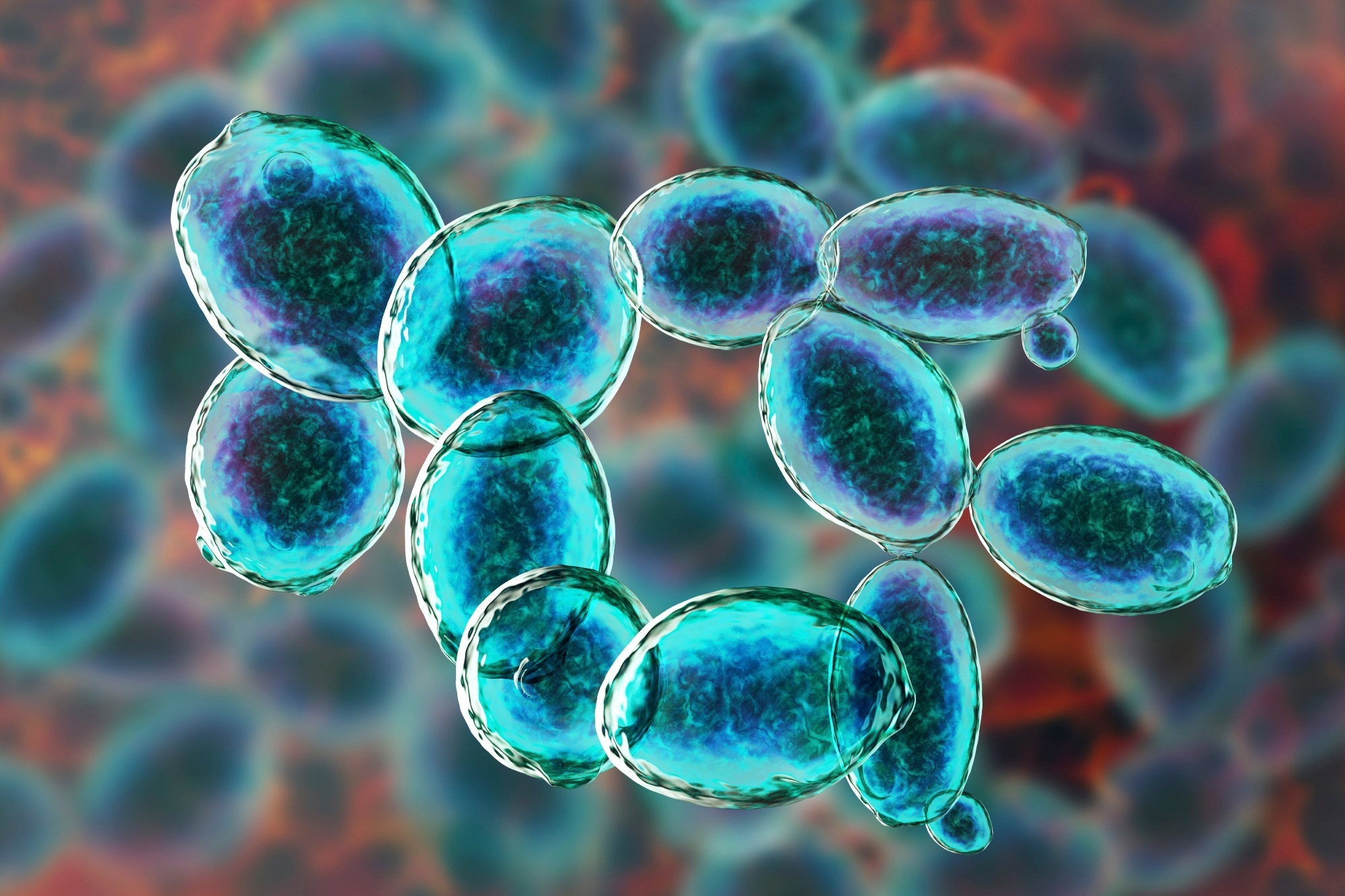 Image Credit: fermenting yeasts/Shutterstock.com