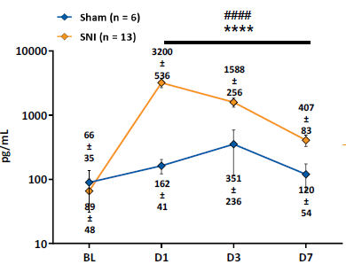 Plasma NfL levels before (BL) and 1, 3, and 7 days after surgery. Data presented as group mean [pg/mL] ± SEM. Significant differences: **** p < 0.0001 vs. BL. #### p < 0.0001 vs. Sham. n (Sham males) = 3, n (Sham females) = 3, n (SNI males) = 3, n (SNI females) =10.