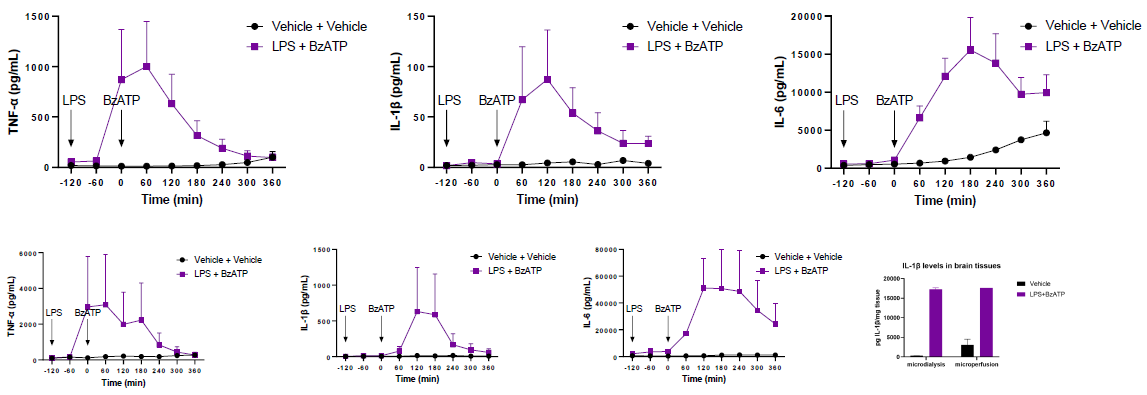 How to optimize models of neuroinflammation