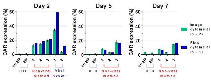 Developing image-based T-cell assays for monitoring apoptosis and CAR expression