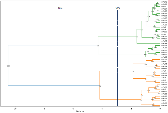 A dendrogram displaying the relationships of similarity in epitope binding sites between antibodies from the panel. Two main branches are observed at 70 % of the greatest distance within the epitope space, i.e. the distance between the two most distantly related antibodies within the panel. These sub-divide into four branches at 30 % of the total distance, which enables antibodies from the panel to be classified into one of four epitope bins. The assignment of this panel of antibodies within these bins was validated by Surface Plasmon Resonance (SPR) methods including Carterra® LSA™ and Biacore™ platforms (data not shown).