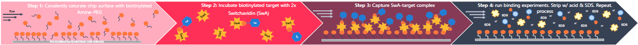General workflow of switchavidin (SwA) capture