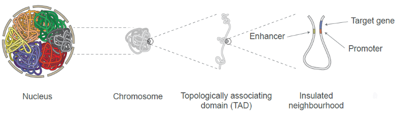 Uncovering the dark genome