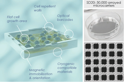 SemaCyte® microcarriers and the seeding dish 20 (SD20).