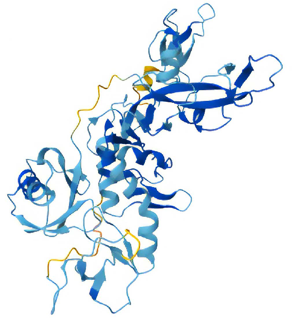 Structure of Parkin Δ84- 143 with the entire loop removed