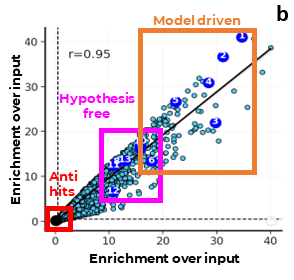 DELiveri®: A high-throughput, hypothesis-free screening platform for identifying novel delivery molecules for RNA therapeutics