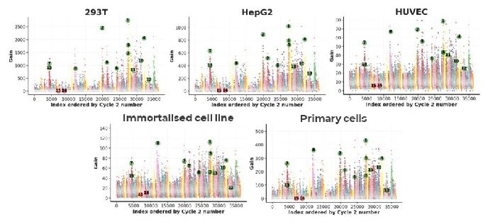 DELiveri®: A high-throughput, hypothesis-free screening platform for identifying novel delivery molecules for RNA therapeutics