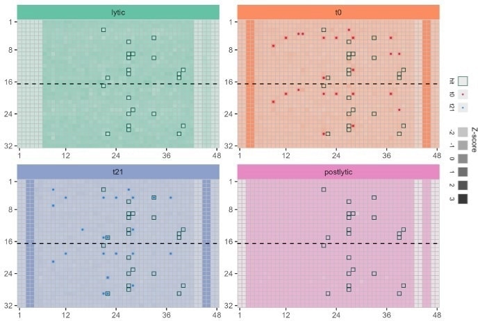 Application of multiplexed bioluminescent assay in 1536 well plate to monitor protein degradation (red) compound toxicity immediately after adding to cells (blue) and compound toxicity after incubation with cells for 21 h ..(green) and monitoring the uniformity of cell lysis in all wells (purple)