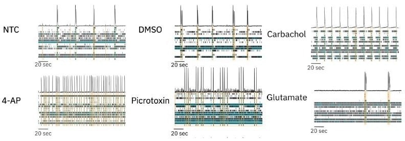 Optimizing a multiplexed cell-based assay for characterizing cortical networks and their responses to neuroactive compounds (Duplicate)