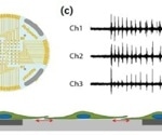 Optimizing a multiplexed cell-based assay for characterizing cortical networks and their responses to neuroactive compounds