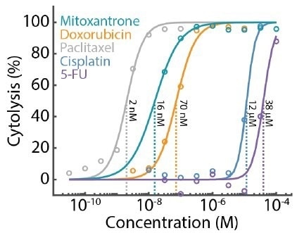 Evaluation of plate-to-plate reliability in a label-free cytotoxicity assay for dose response analysis