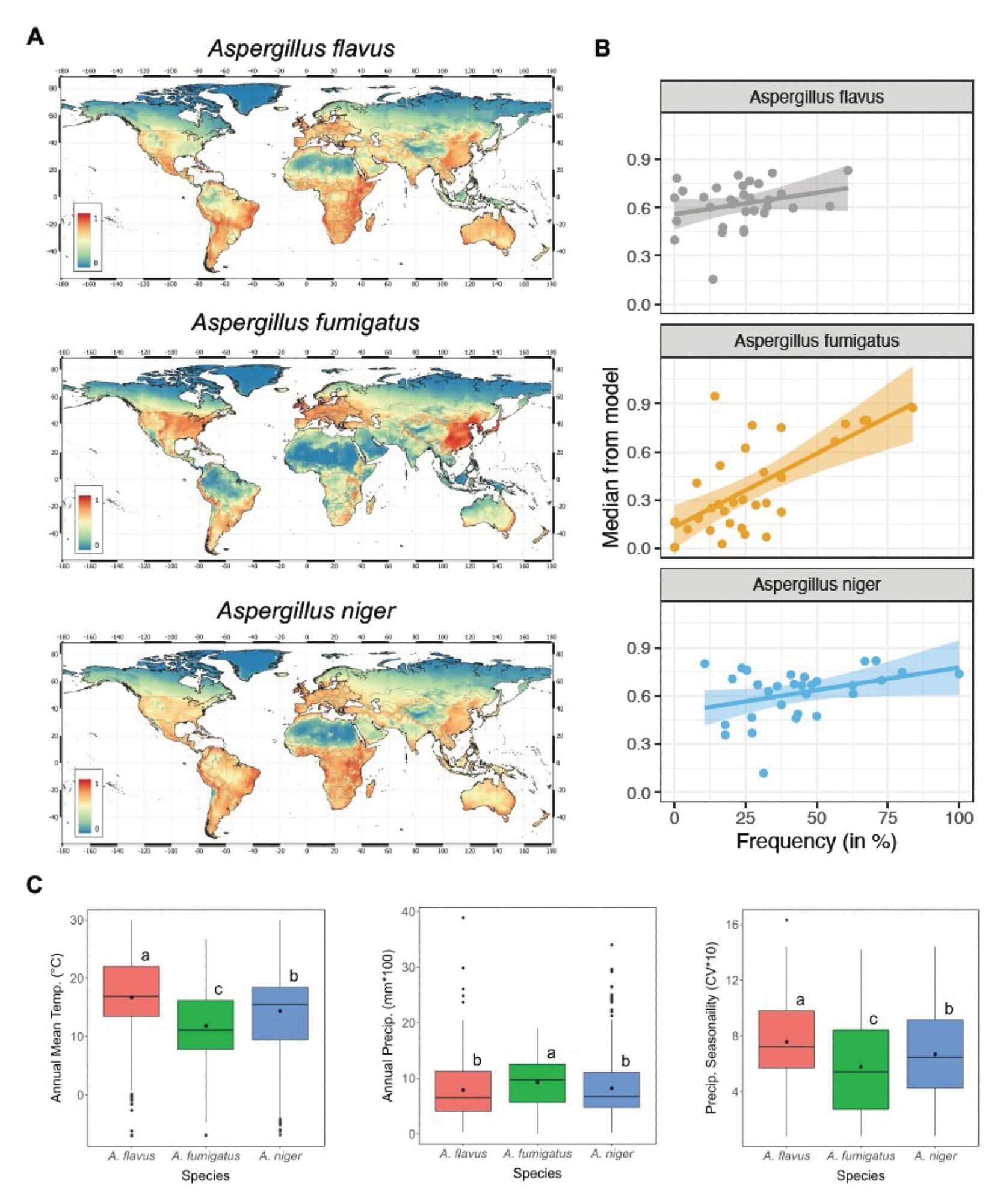 MaxENT model accurate described Aspergillus global distributions. A Habitat suitability for three Aspergillus species from the MaxENT model. Least suitable is 0 and most suitable is 1. B Correlation plots of frequency of each Aspergillus species found in the literature compared to the median suitability for that particular country in the MaxENT model. C Boxplots showing environmental differences between A. flavus, A. fumigatus and A. niger among three environmental variables used for SDM. Species marked with the same letter are not significantly different at P < 0.05 with regards to each environmental variable.