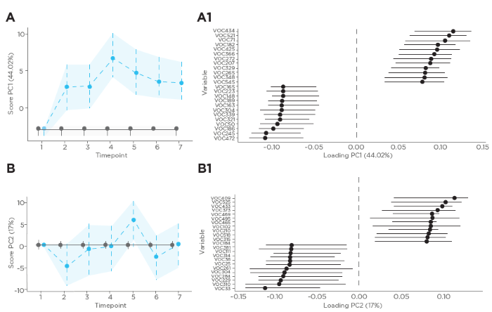 ANOVA Simultaneous Component Analysis of Untargeted VOC Data in Exhaled Breath Following Exposure 1: Sham and Exposure 2: Diesel. (A) Score plot of the first principal component (PC1), which explains 44.02% of the variance, across seven time points. This figure captures the primary response of VOC profiles to the sham (Exposure 1) and diesel (Exposure 2) with VOCs such as VOC472, VOC235, and VOC186 contributing heavily to this variance. The importance of the VOCs contributing to the exposure effect is shown in A1. (B) Score plot of the second principal component (PC2), explaining 17% of the variance, depicting additional differences between the exposures over time. VOCs such as VOC33, VOC310, and VOC229 are highlighted for their significant loadings on PC2, indicating their potential role in distinguishing the exposure effects. The importance of the VOCs contributing to the exposure effect is shown in B1