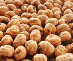 Health Benefits of Tiger Nuts: Nutrition, Uses & Side Effects