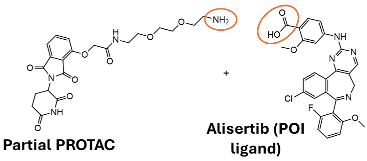 Amide coupling of Alisertib with partial PROTACs to form novel degraders.