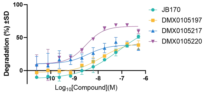 PROTAC-mediated concentration-dependent degradation of Aurora Kinase A by JB170 and novel PROTACs