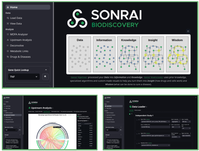 Integrating multimodal datasets for advanced tertiary analysis