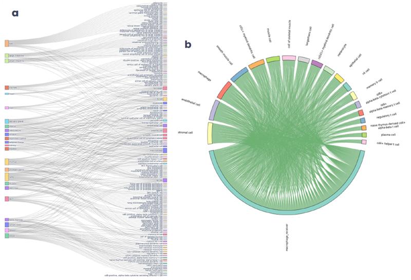 Prior knowledge networks and ontologies present a wealth of contextual information. (a) Sankey plot showing the connected tissue and cell type ontologies of our curated interactomes. (b) Chord diagram showing the complete set of ligand-receptor interactions from skin cell types to macrophage.