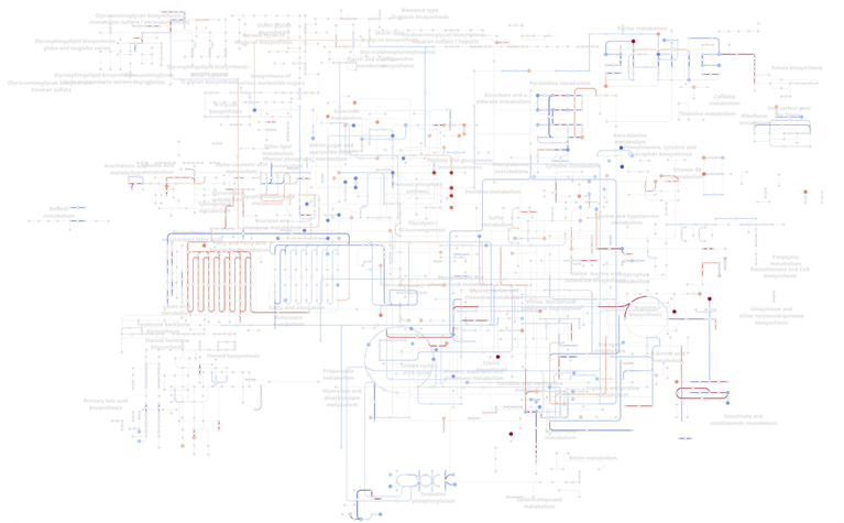 Human metabolism network overlaid with differential gene expression and metabolite abundance. Each node (dot) is a metabolite, while each edge (line) is gene(s) that perform the enzymatic reaction. Red indicates upregulation in macrophages of skin cancer immunotherapy responders, while blue indicates downregulation