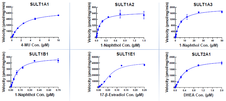 Comprehensive analysis of sulfotransferase activity using LC-MS/MS