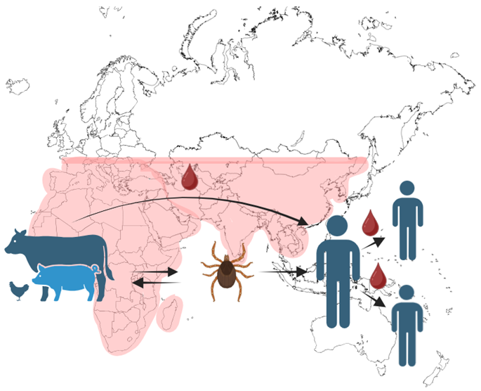 No approved vaccine or therapeutic