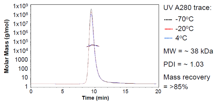 Analysis by SEC-MALS shows GP38 strain B is stable following one cycle of freeze-thaw (either snapfrozen and stored at -70 °C or slow-frozen to -20 °C.